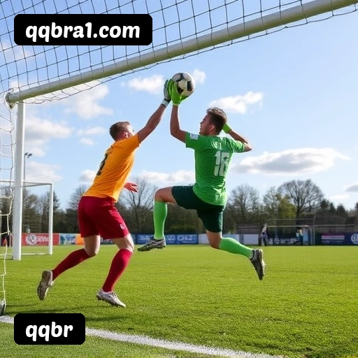 6 vantagens exclusivas do programa VIP da qqbr